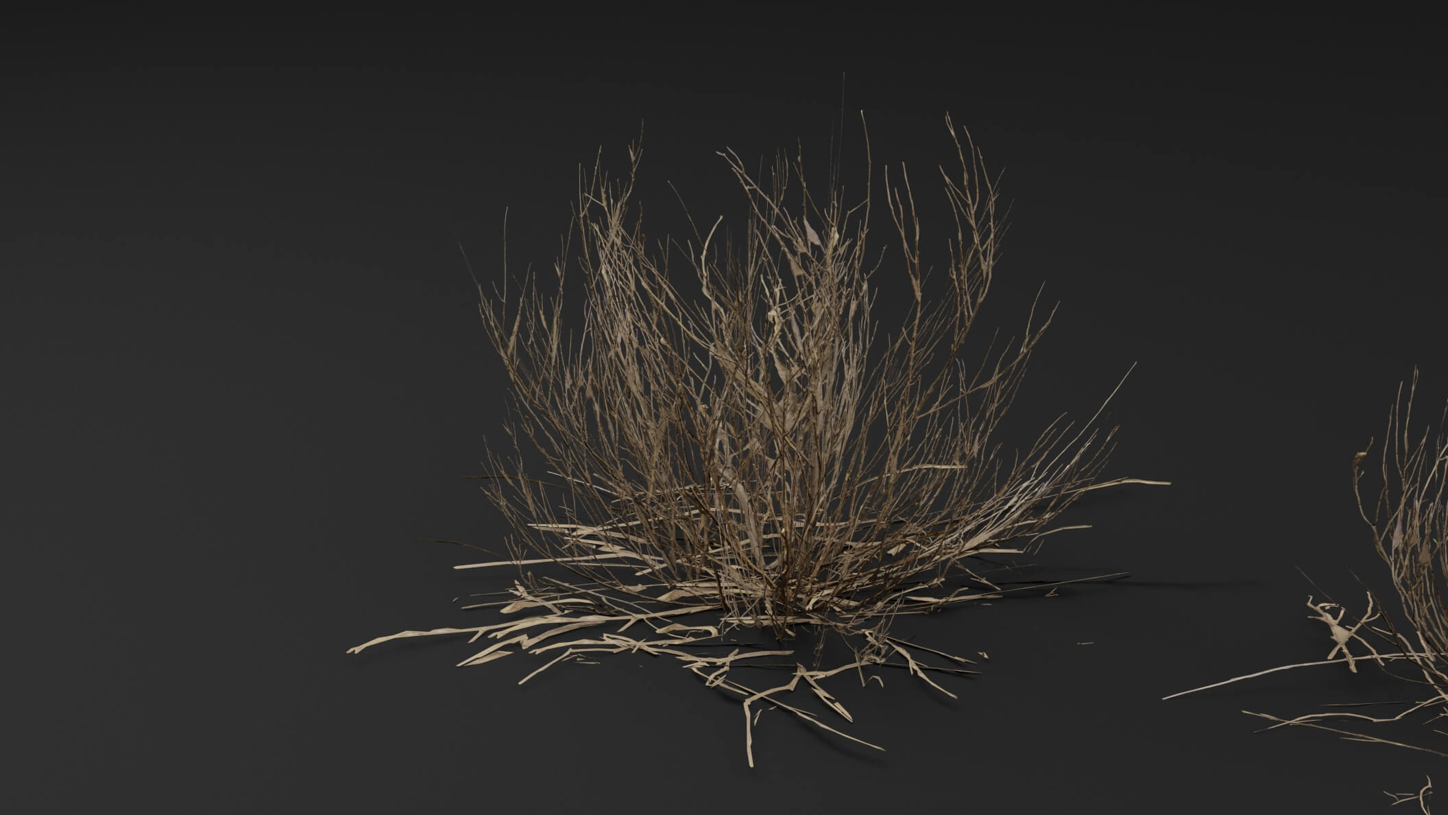 Dead Bush Plant 3D Model