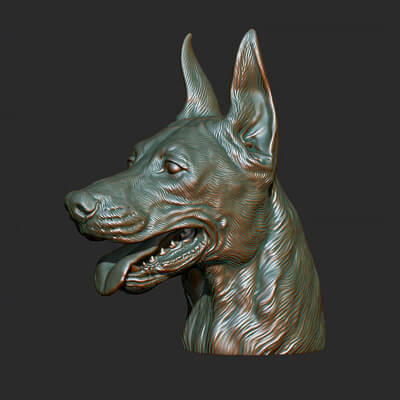 Doberman Head