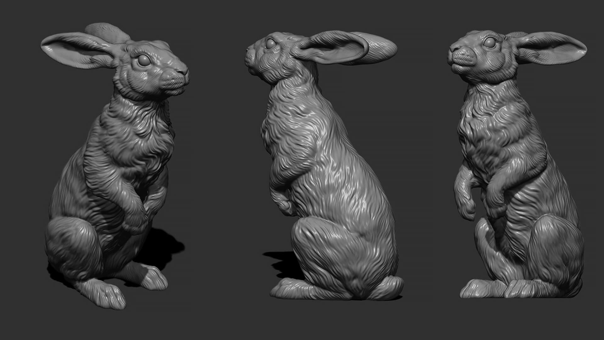 Hare Sitting 3D Model