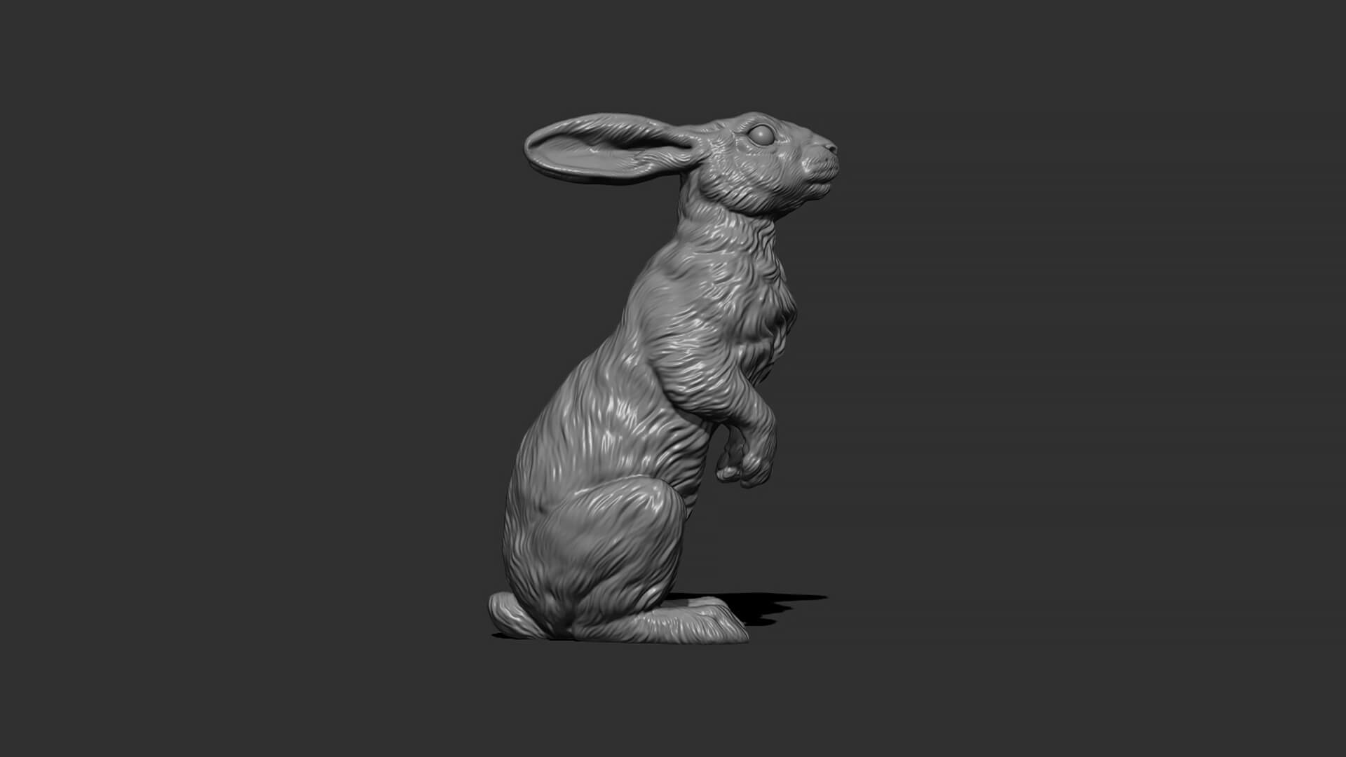 Hare Sitting 3D Model