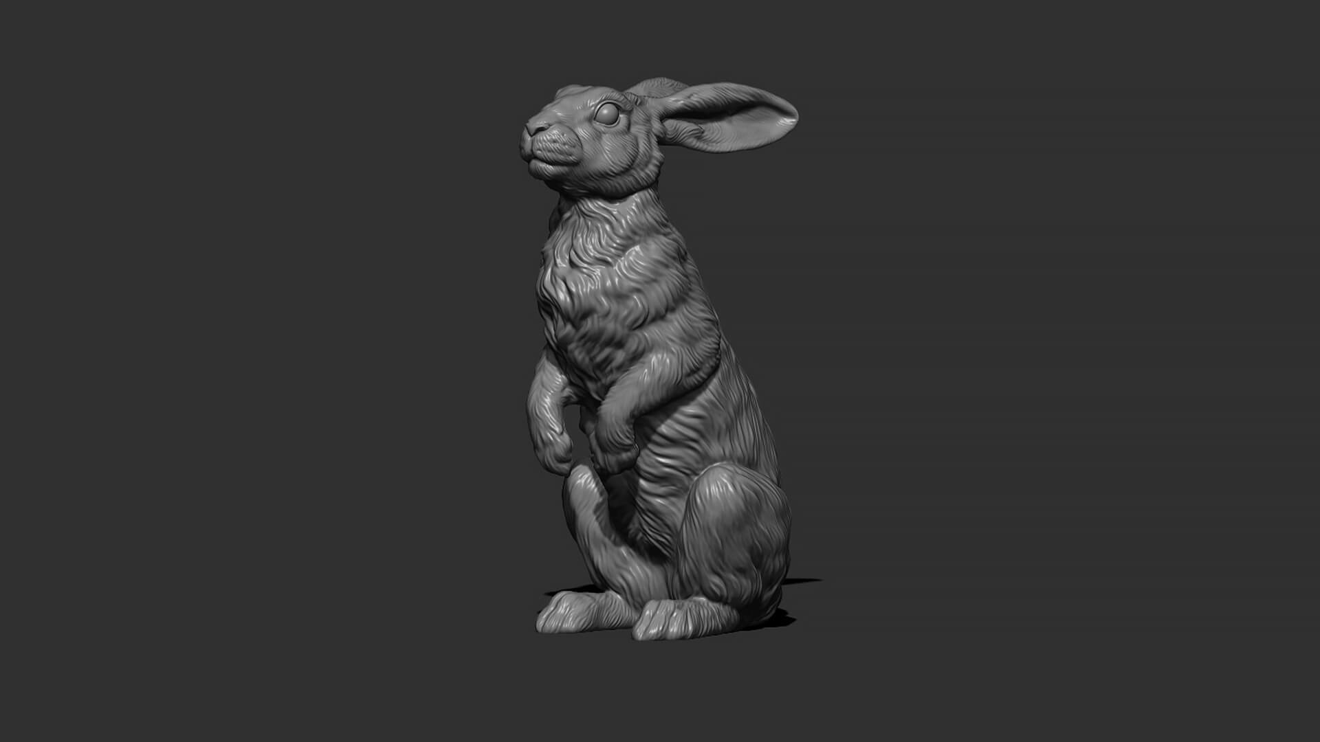 Hare Sitting 3D Model