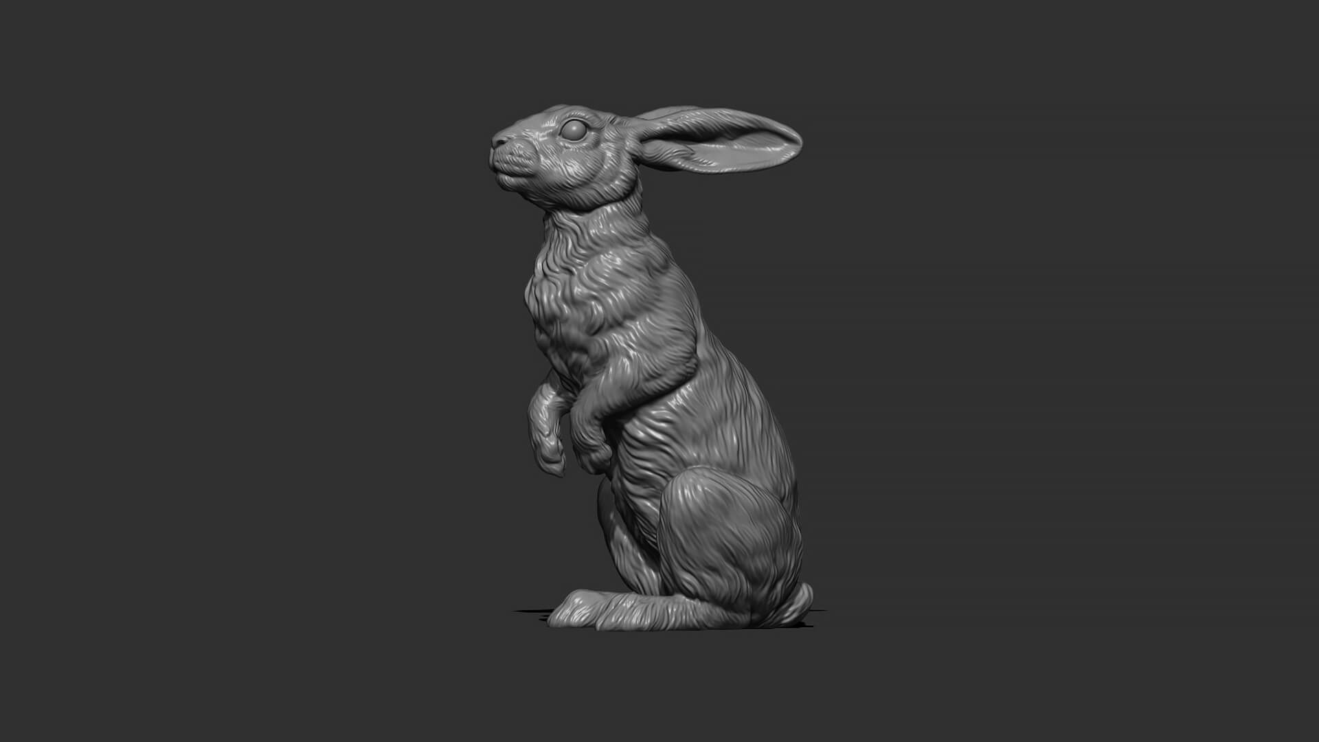 Hare Sitting 3D Model