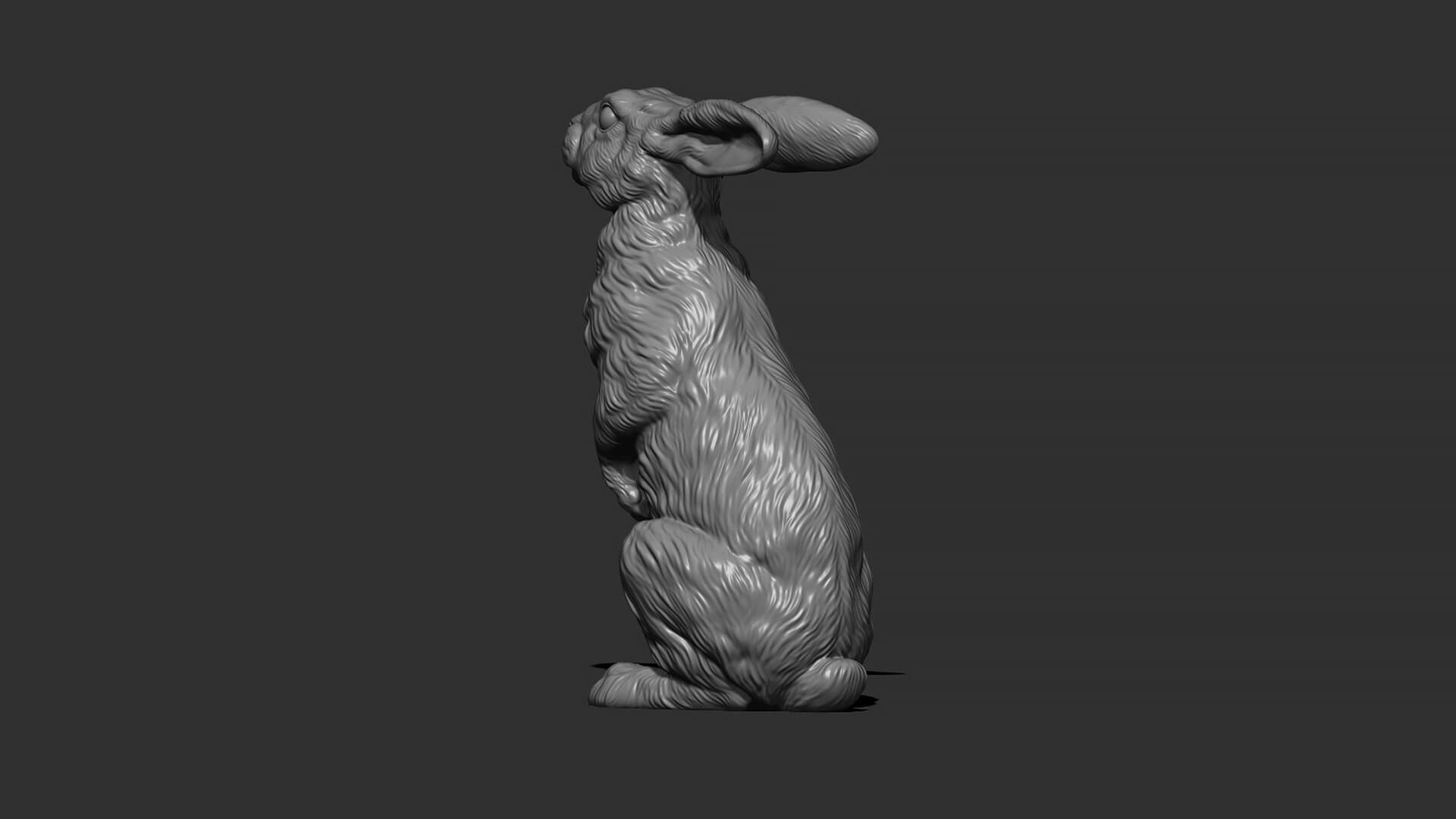 Hare Sitting 3D Model