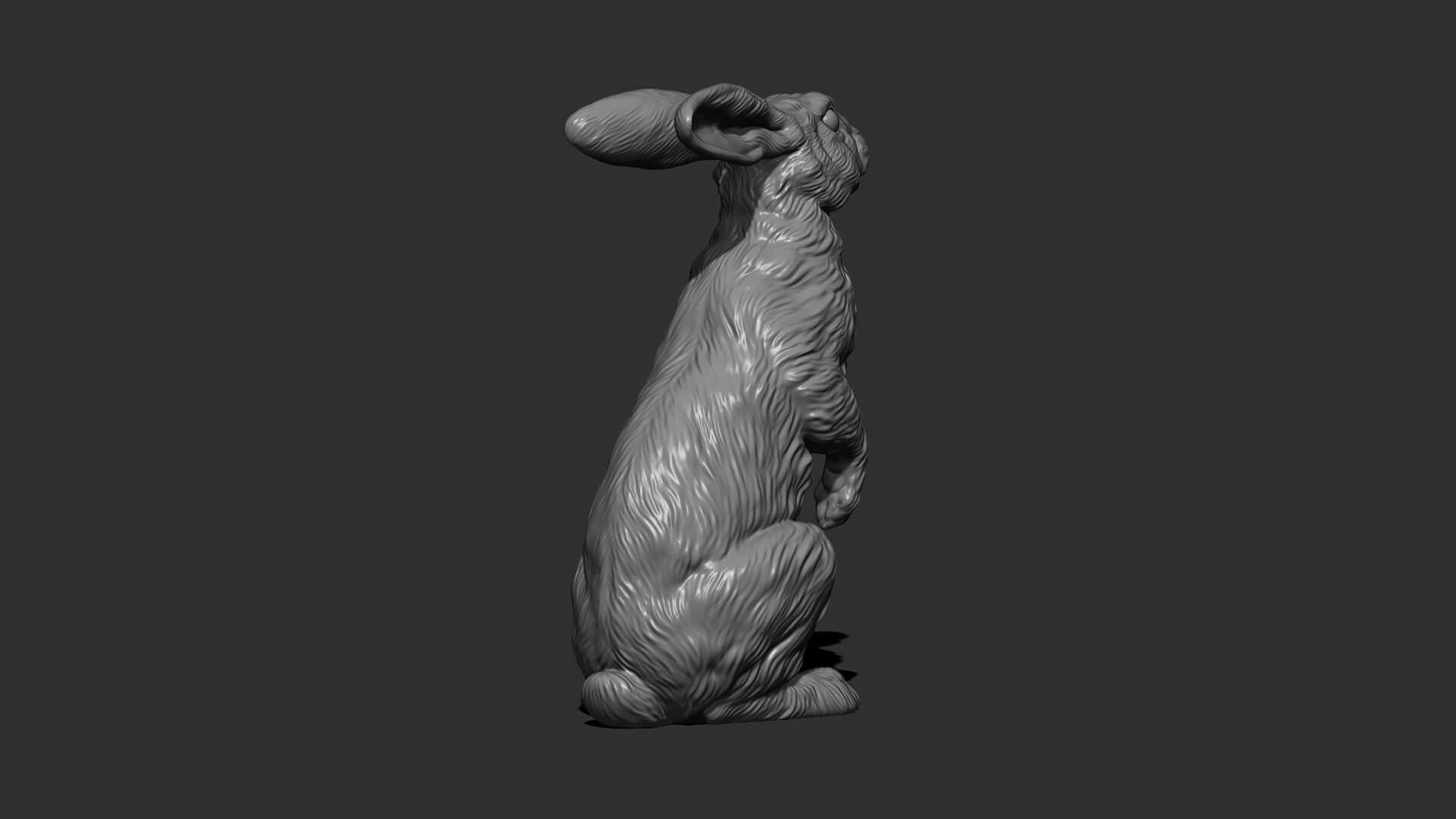 Hare Sitting 3D Model