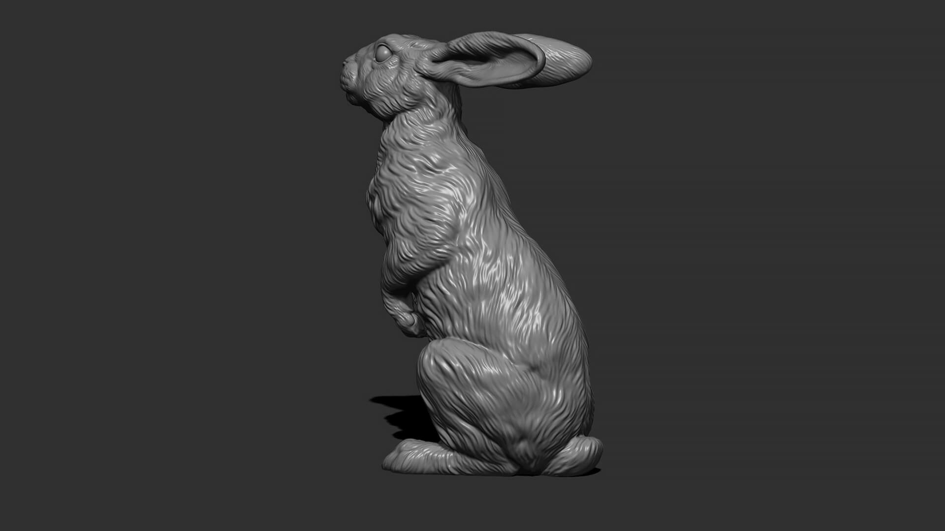 Hare Sitting 3D Model