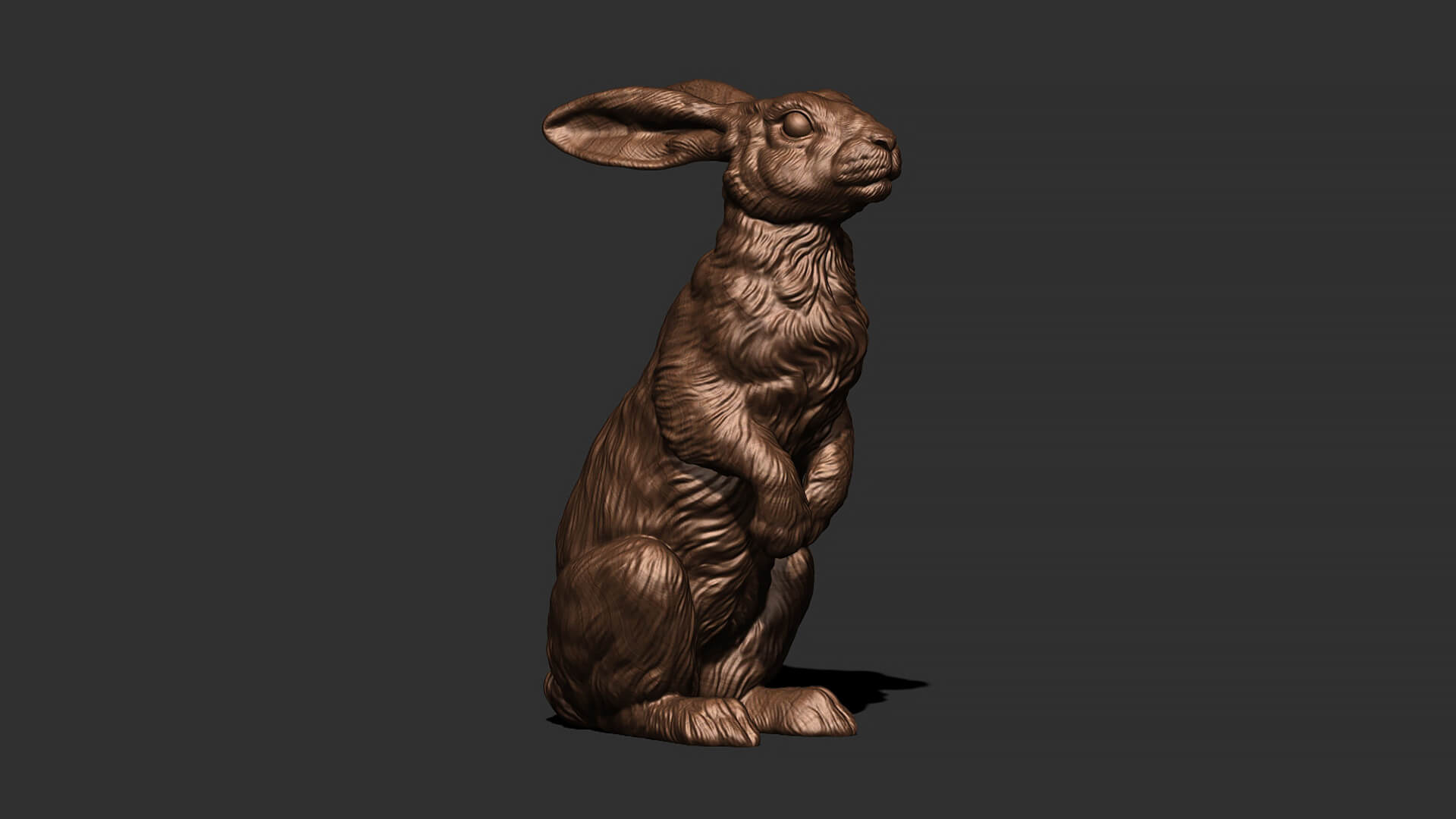 Hare Sitting 3D Model