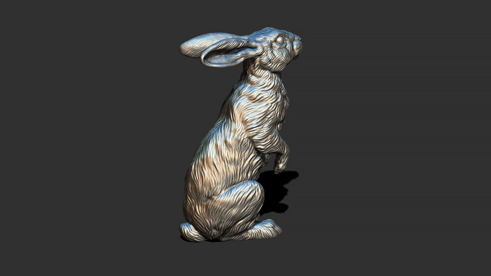 Hare Sitting 3D Model