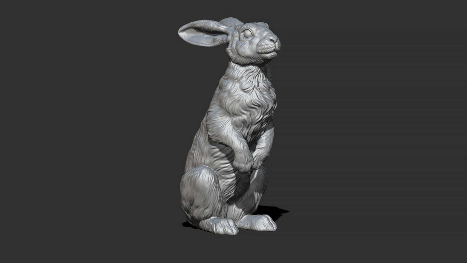 Hare Sitting 3D Model