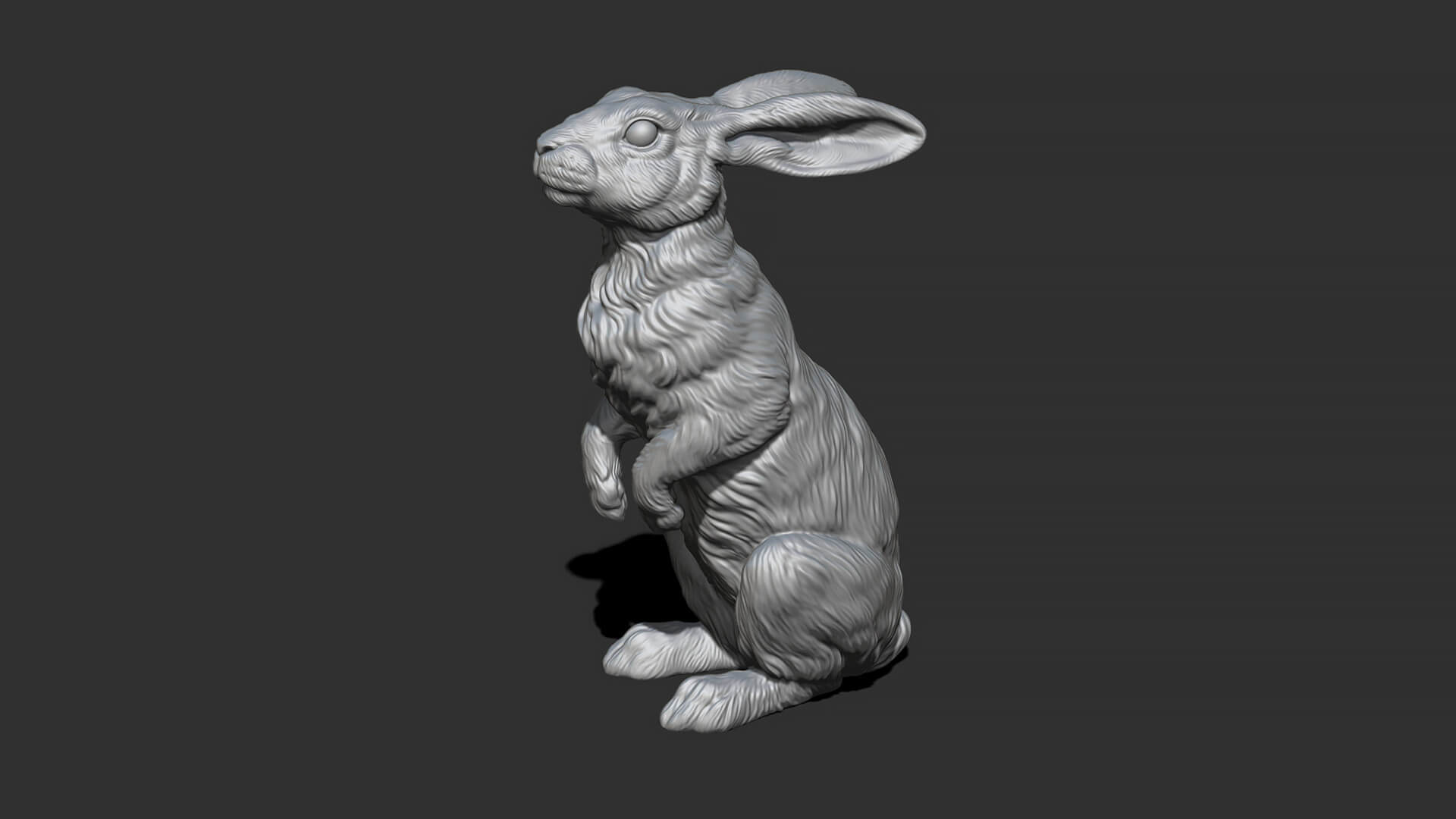 Hare Sitting 3D Model