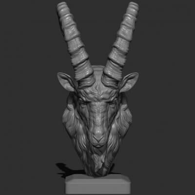 Ibex Goat Head