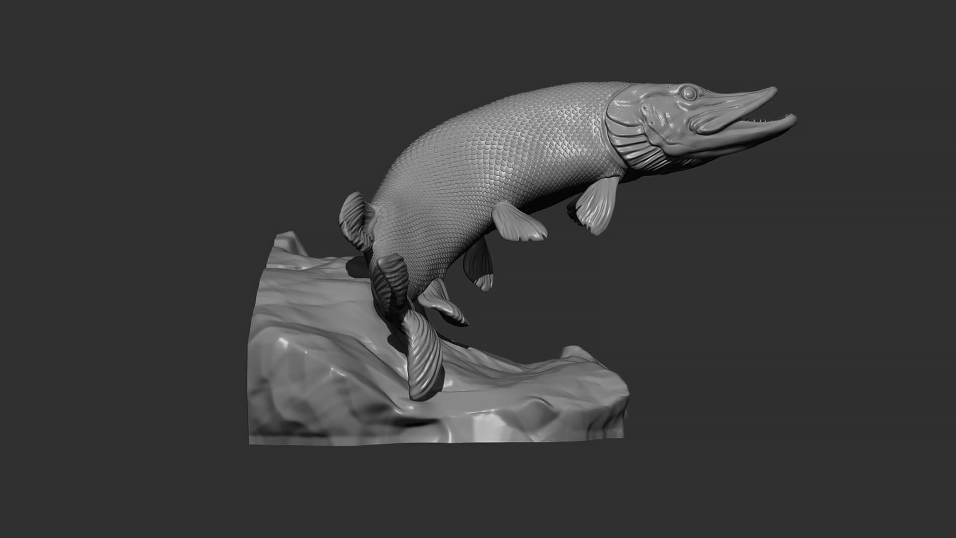 Pike Fish 3D Model