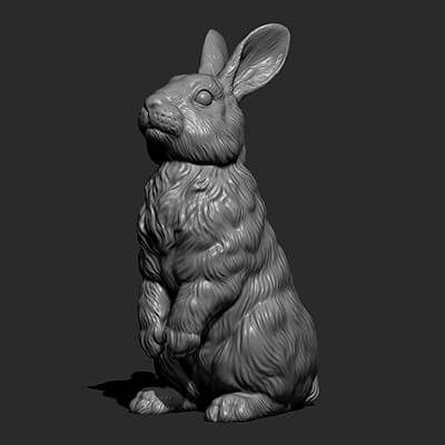 Rabbit