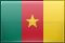 Cameroon flag