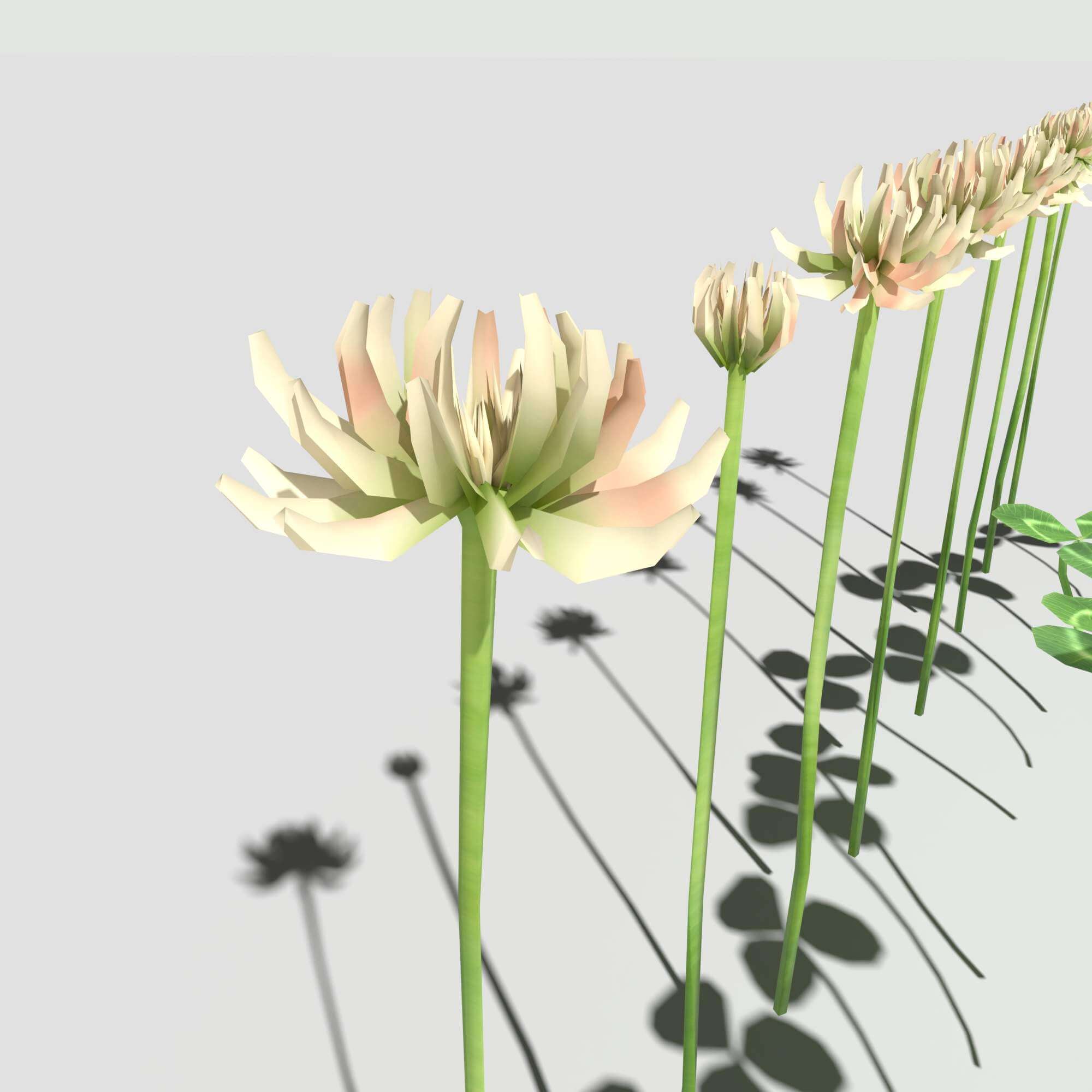 Clover Pack 3D Model