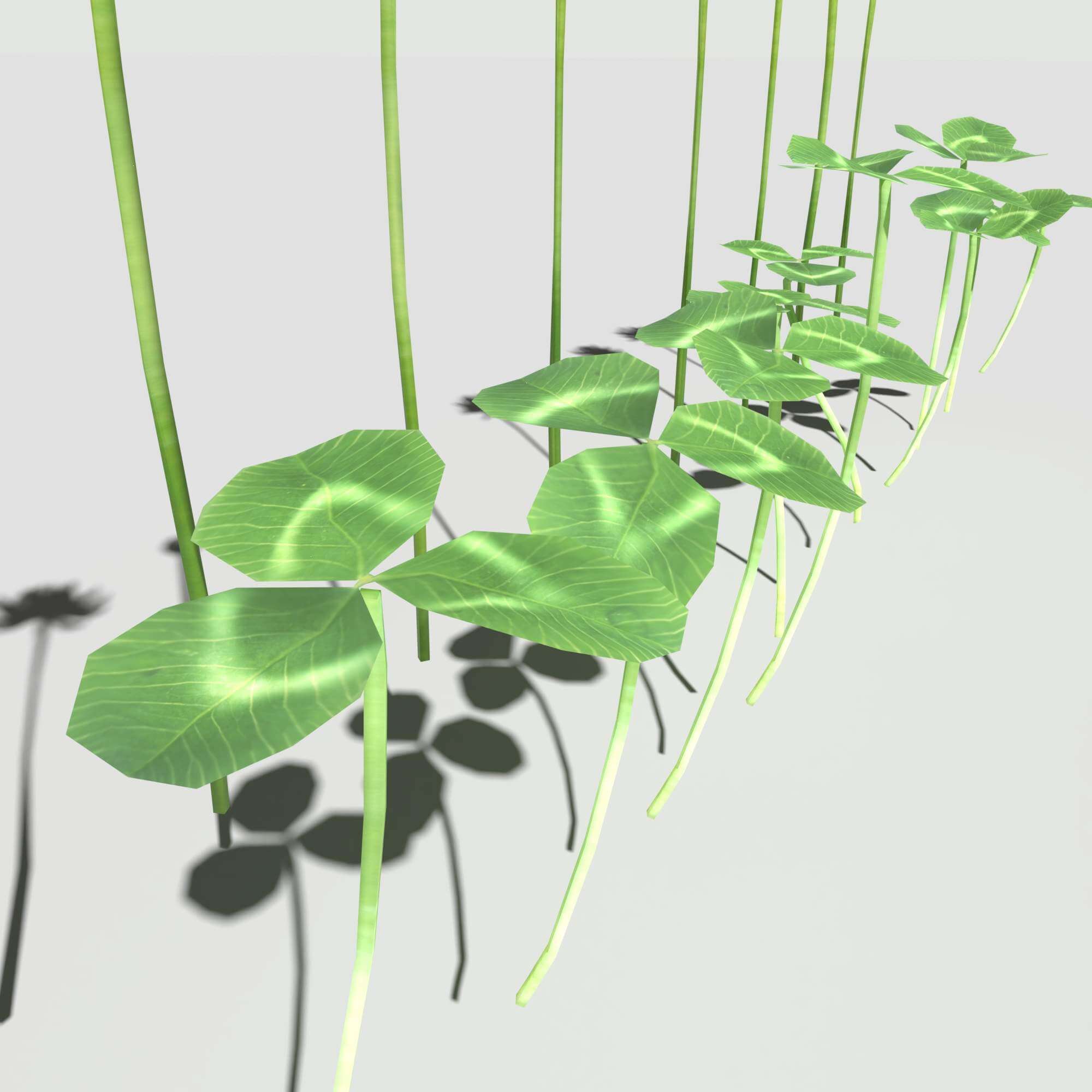 Clover Pack 3D Model