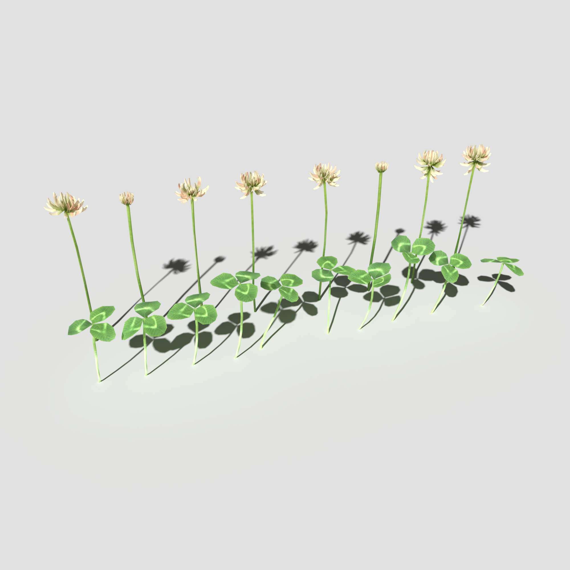 Clover Pack 3D Model