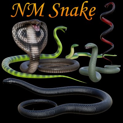 NM Snake Daz 3d Daz Content