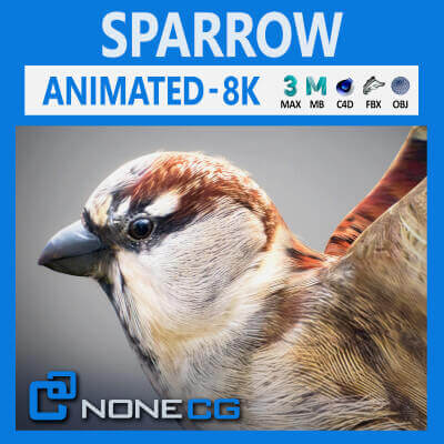 Sparrow Animated 3D Model