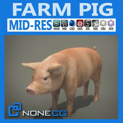 Pig 3D Model