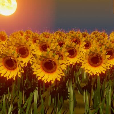 Sunflower 3D Model