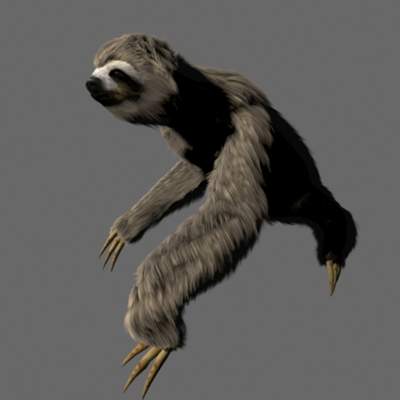 Sloth 3D Model