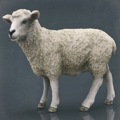 Sheep 2 3D Model