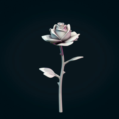 Rose Flower 3D Model