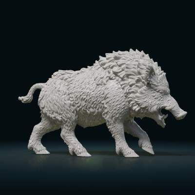 Wild Boar 3D Model