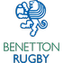 Benetton Treviso Flag