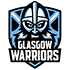 Glasgow Warriors Flag