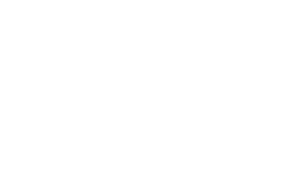 InstaDebit