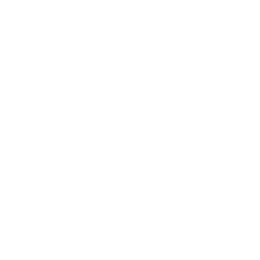 TikTok icon