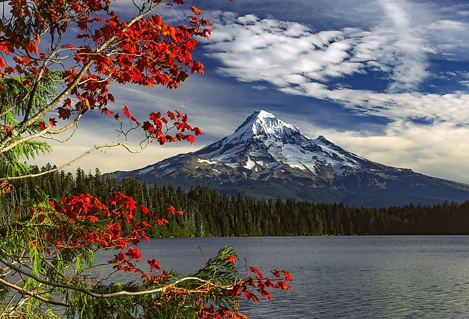 The beautiful fall color leaves at Lost Lake, Oregon