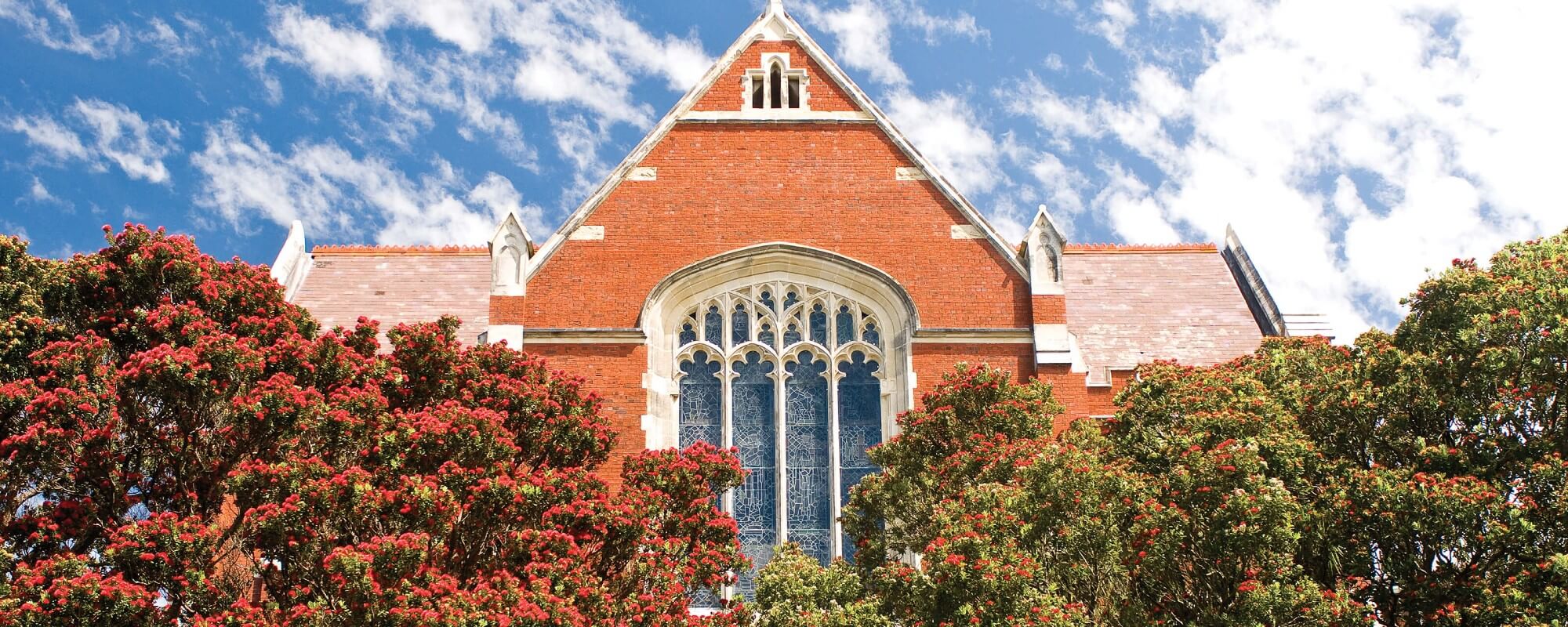 Victoria University of Wellington’s Hunter Building with pohutukawa trees in front of it.