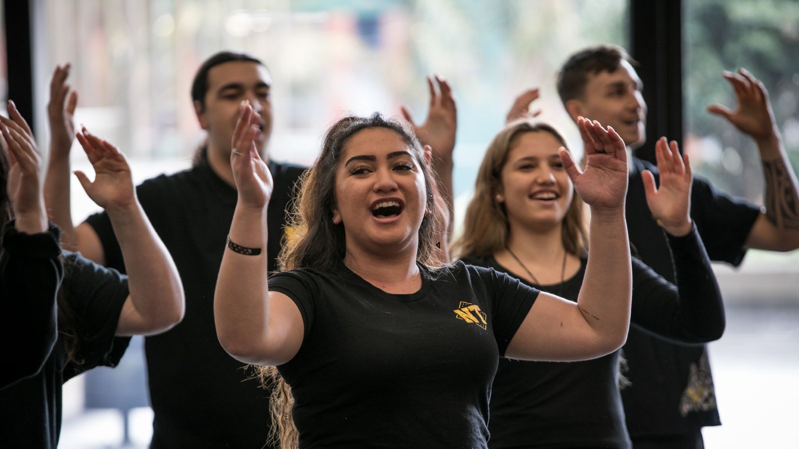 Kapa haka performance