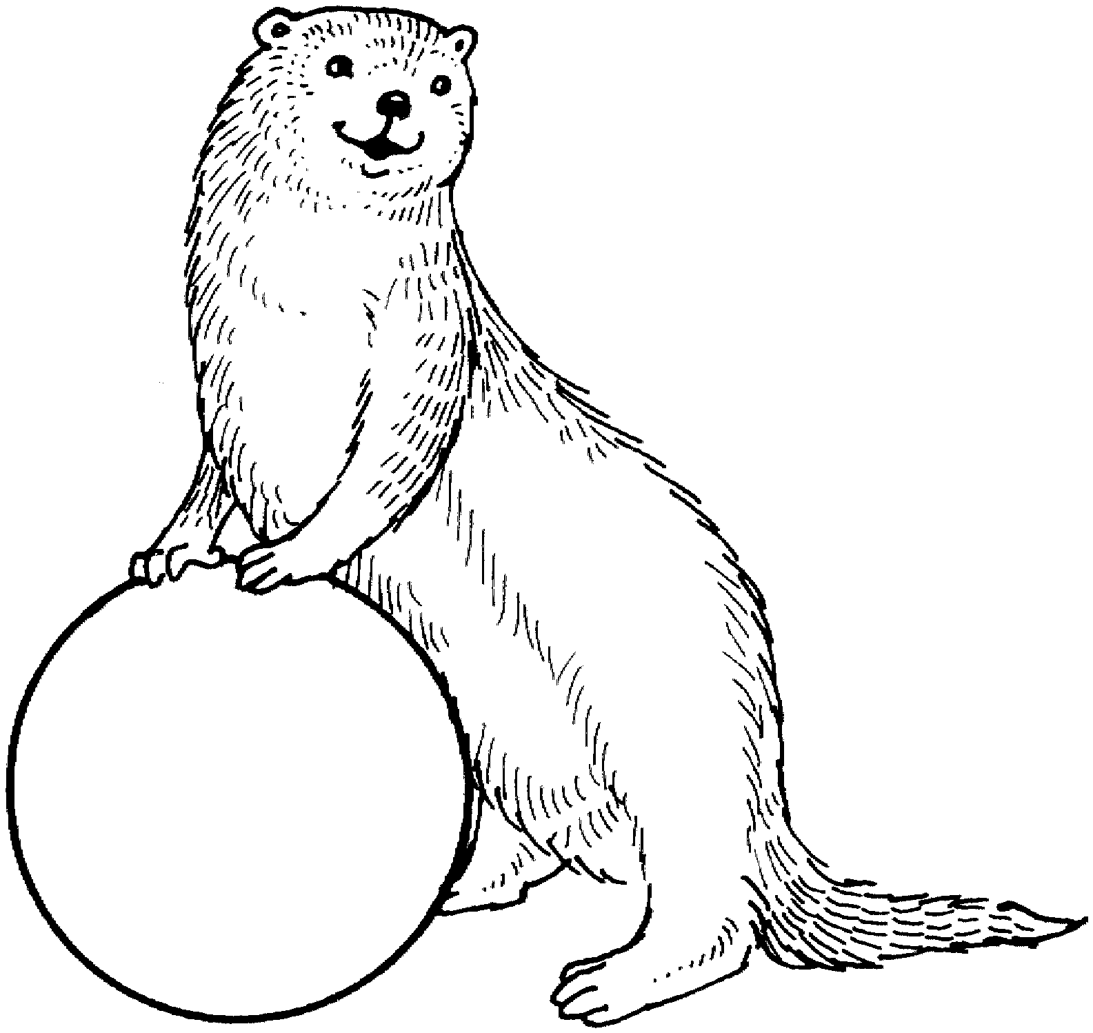 Coloring Pages For Otters