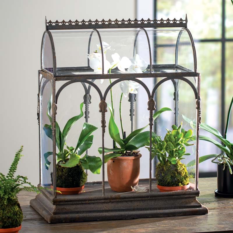 Conservatory Tabletop Terrarium