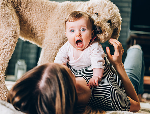 IMAGE: Mom lying down and holding baby with a surprised face on her belly while dog sniffs child's neck