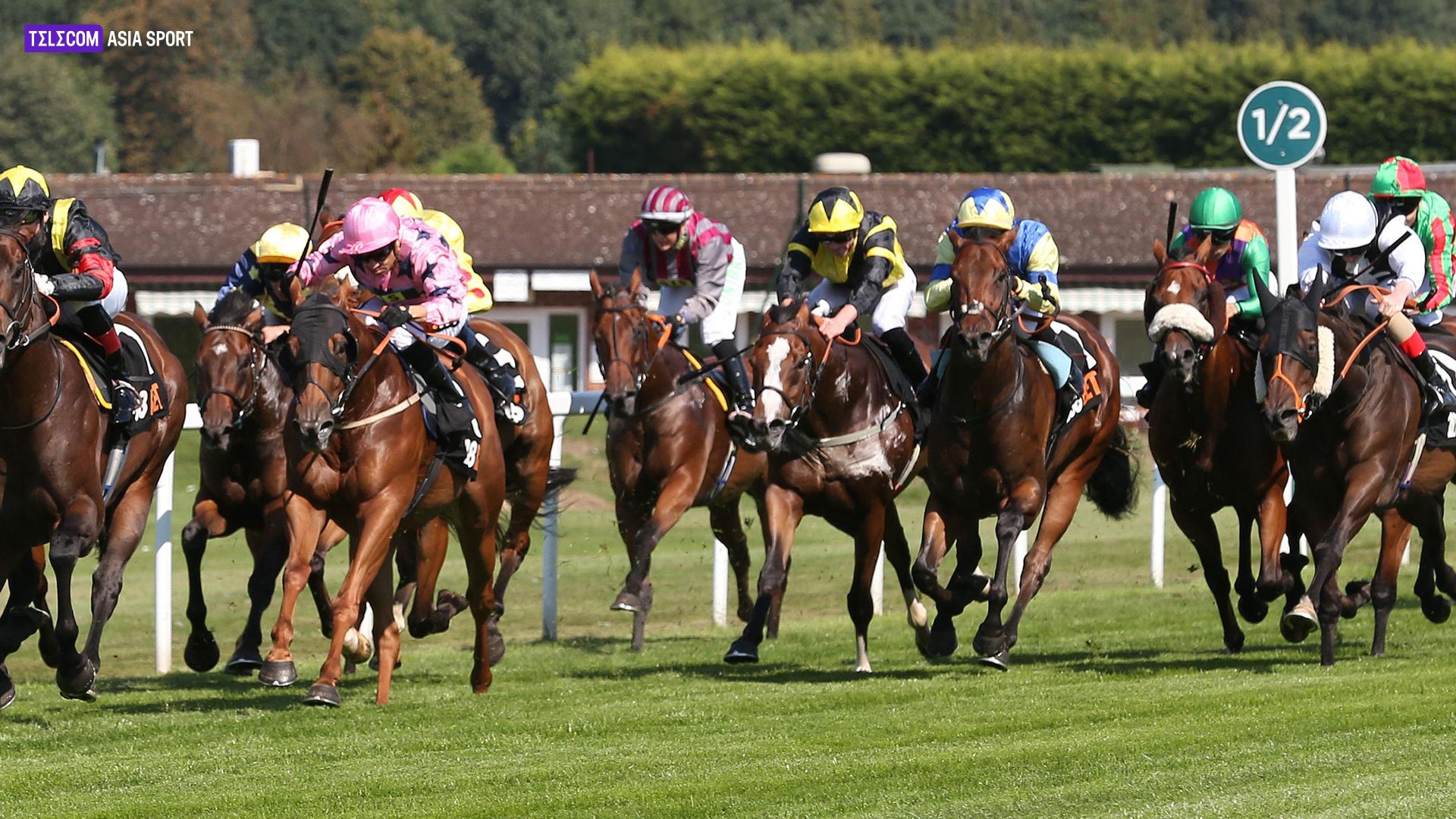 Apuestas de carreras de caballos