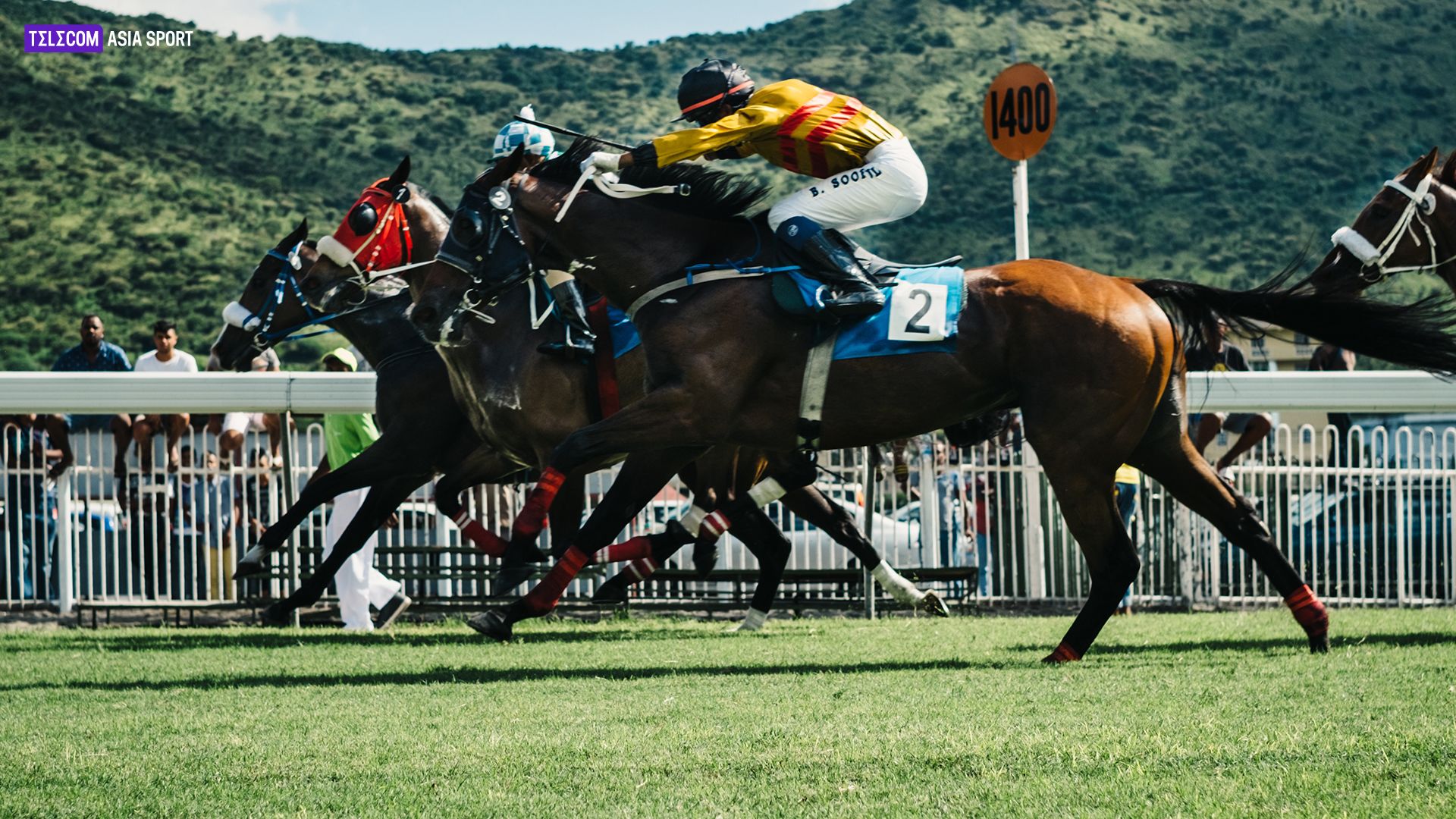 Apuestas en carreras de caballos