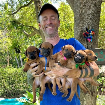 Niall with puppies he has rescued from the streets