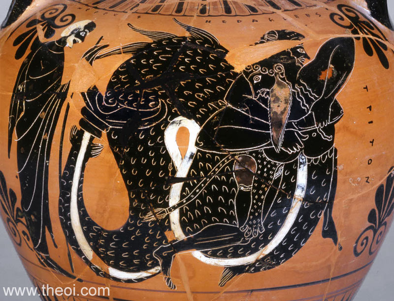 Heracles Wrestling Triton | Attic black figure vase painting