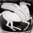 Thumbnail Pegasus in Flight