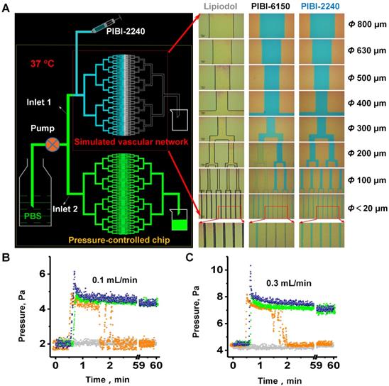 Theranostics Image