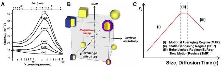 Theranostics Image