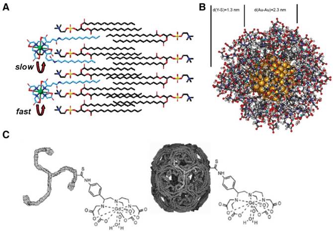 Theranostics Image