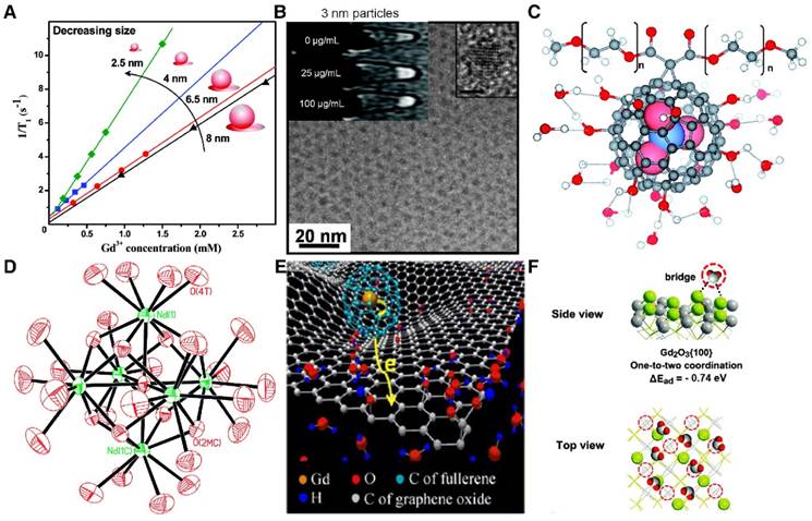 Theranostics Image