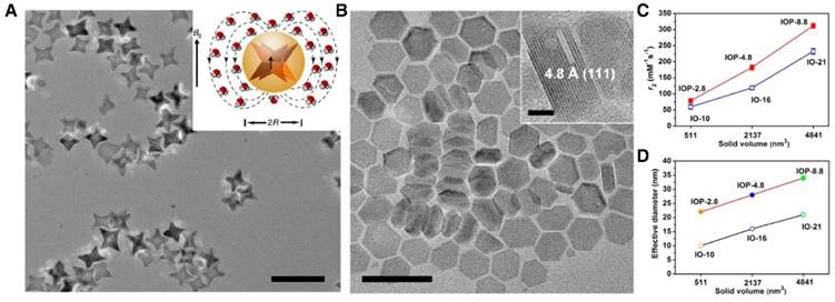 Theranostics Image