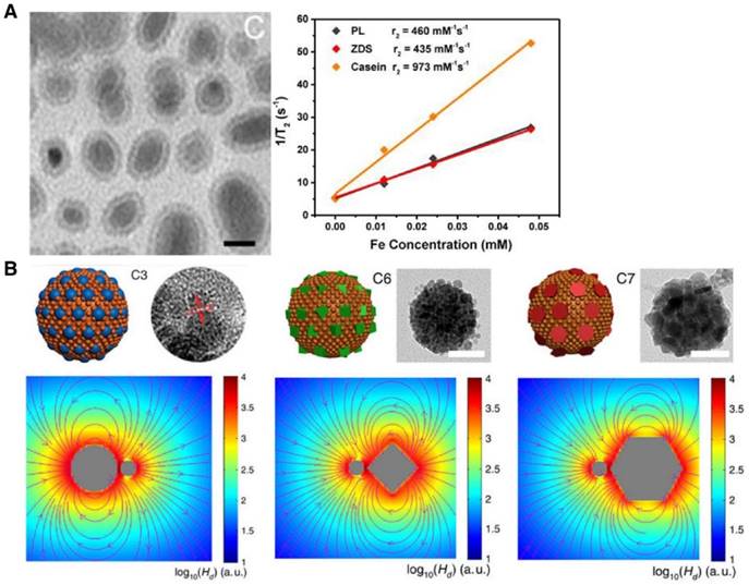 Theranostics Image