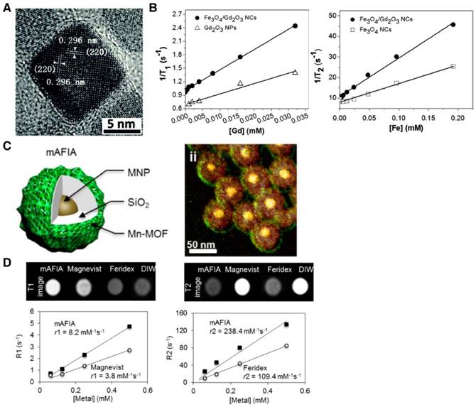 Theranostics Image